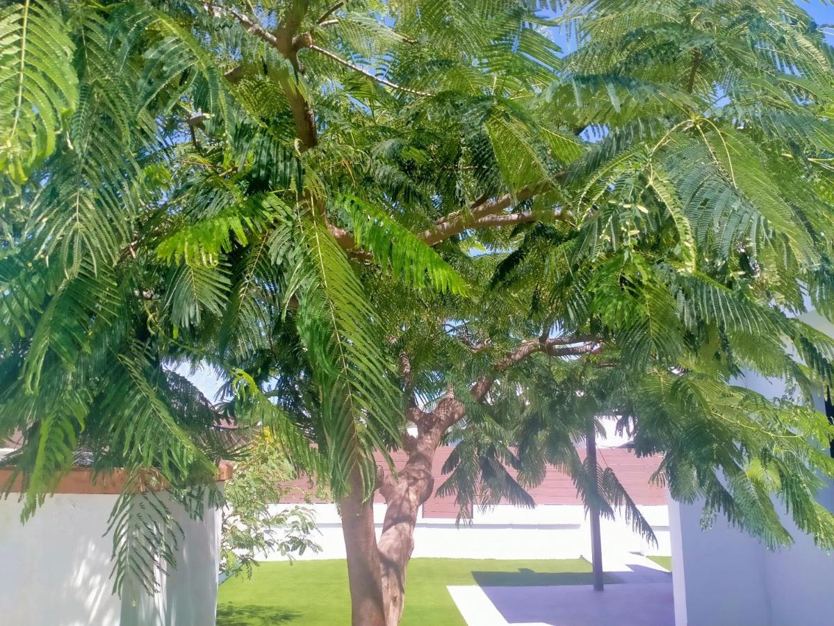 Apartament Cozy Colorado Pool View #3 Maspalomas  Zewnętrze zdjęcie
